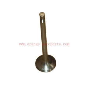 China Manufacture Exhaust Valve For Geely Gc7 (OEM 1030001900)