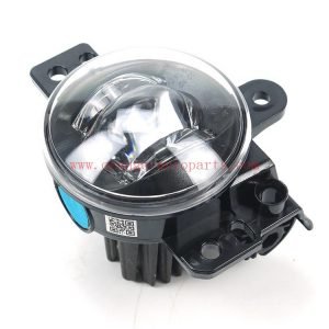 China Manufacture Light Right Front Fog Lamp For Geely Dnl-5A (OEM 6600066260)