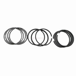 Chinese Factory For Jac 1001024Fa01-Bj Piston Ring Set For Jac Hfc4Da1