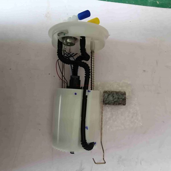 Chinese Factory For Jac 1106610U8010 Fuel Pump For Jac J3