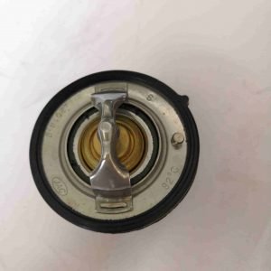 Chinese Factory For Jac Thermostat Suitable For Jac T6 1027305P3010