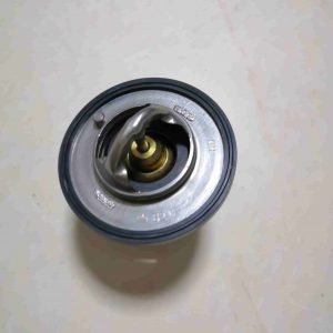 Chinese Factory For Jac Thermostat Valve Suitable For Jac J5 S1026L21153-00010