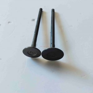 Chinese Wholesaler For Great Wall&Haval 4D20 Engine Valve For Greatwall Wingle Haval