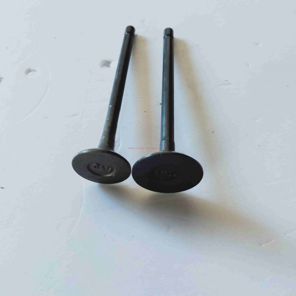 Chinese Wholesaler For Great Wall&Haval 4D20 Engine Valve For Greatwall Wingle Haval