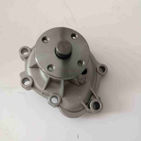 Chinese Wholesaler For Great Wall&Haval Water Pump For Wingle Steed 491