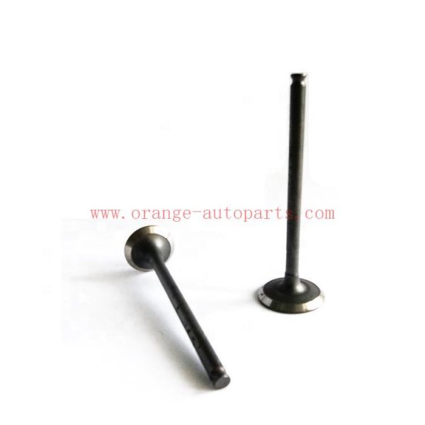 Factory Price Engine Cylinder Head Air Intake And Exhaust Valves For Chery Qq Qq3 S11 S18 S21 (OEM 372-1007012)