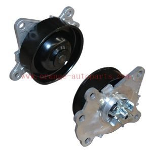 Factory Price Water Pump For Chery Qq (OEM 371F-1307010Bb)
