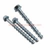 Wholesale Price 1/4 5/16 3/8 Steel Zinc Plated Concrete Anchor Screws