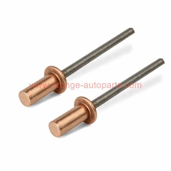 China Supplier 1/8 3/16 1/4 Copper Closed End Sealed Pop Blind Rivets