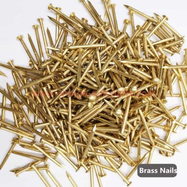 Wholesale Price 1.2mm 1.5mm 2.0mm 3mm Pure Copper Nail Round Head Brass Nails