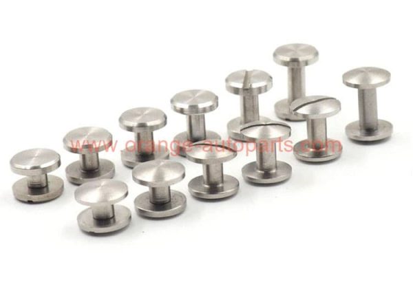 China Supplier 10mm Sliver Color Leather Studs Rivets Brass Chicago Screw