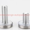 China Supplier 12mm 16mm 19mm 25mm Stainless Steel Long Thread Sign Standoff Advertising Screw