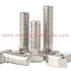 Factory Price 20/30/40/45 Series M5 M6 M8 Din 188 Stainless Steel Hammer T Head Bolts With Double Nip