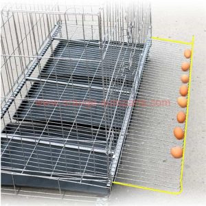 China Supplier 2020 Hot Sale Folding Chicken Cage Chicken And Duck Automatic Rolling Egg Cage