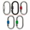 Wholesale Price 25kn 110*60 Cheap Outdoor O Type Master Lock Climbing Carabiner