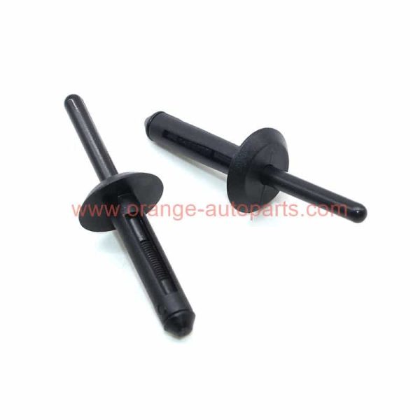 China Manufacturer 3.8 – 6.5mm Plastic Nylon Blind Pop Rivets