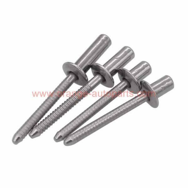 Wholesale Price 304 Stainless Steel Closed End Sealed Type Blind Rivets