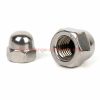 China Manufacturer 304 Stainless Steel Din 1587 Hex Domed Cap Nut / Acorn Nuts