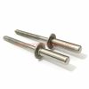 China Manufacturer 304 Stainless Steel Sealed Type Closed End Blind Rivets