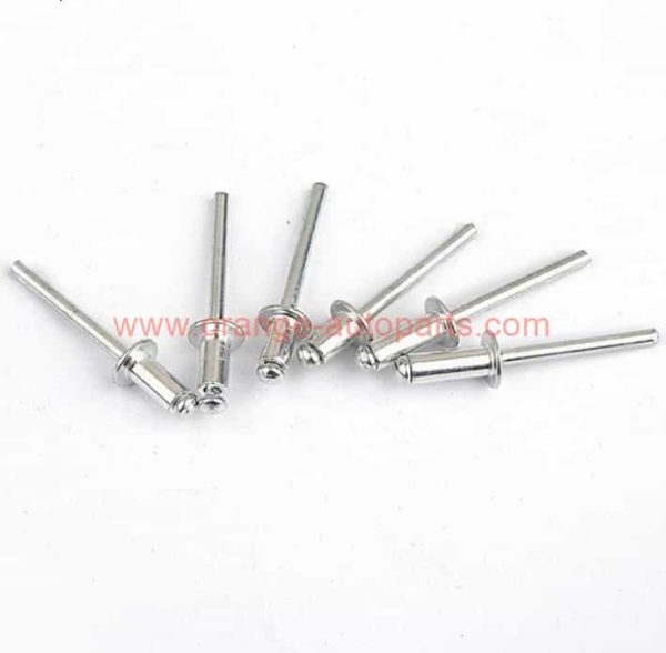 China Manufacturer 4×8 5×10 Mild Steel Pop Blind Rivets 1/8" X 1/4"