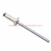 China Manufacturer 5*20 Flower Type Stainless Steel Peel Blind Rivet