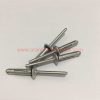 China Supplier 5.2mm Waterproof Full Aluminum Butterfly Rivets