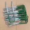 China Manufacturer 9 Gauge Green Galvanized Garden Staples