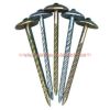 China Manufacturer 9g*65 Umbrella Head Roofing Nails With Rubber Washer