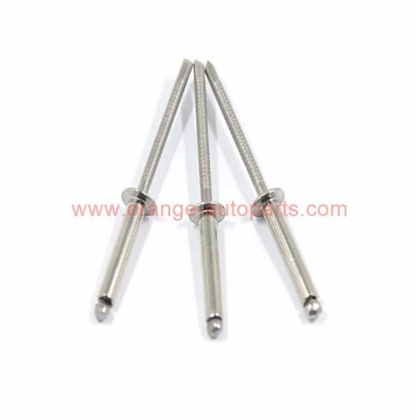 China Manufacturer A4-80 Ss316 Stainless Steel Blind Rivets With Superior Quality