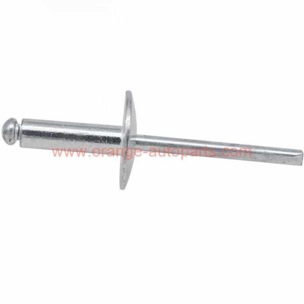 China Manufacturer Aluminum Steel Large Flange Head Pop Rivets