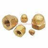 China Supplier Brass M3 – M20 Din 1587 Hex Dome Cap Head Nuts Acorn Nuts