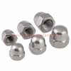 Wholesale Price Cap Nut M3 M4 M5 M6 Stainless Steel 304 Decorative Blind Nuts Din1587 Hex Domed Cap Nuts