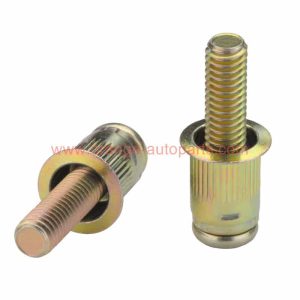 China Manufacturer Carbon Steel Galvanized External Thread Stud Rivet Nuts