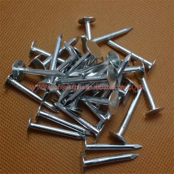 China Manufacturer China Direct Factory Sale Large Head Roofing Nails Flat Clout Nails,Cupper Nail