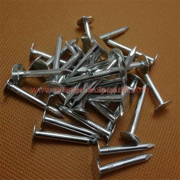 China Manufacturer China Direct Factory Sale Large Head Roofing Nails Flat Clout Nails,Cupper Nail