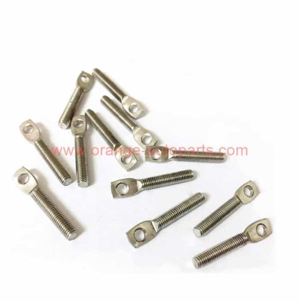 China Supplier Customized Size Stainless Steel Flat Head Flange Pin Bolt Eye