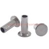 China Supplier Customized Steel Galvanized Flat Cap Head Semi Tubular Hollow Rivet