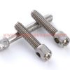 China Supplier Din 404 Stainless Steel 304 Slotted Capstan Screws Sealing Screw For Electric Meter