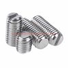 China Manufacturer Din 551 M1-m12 Stainless Steel Grub Screws Flat Point Headless Slotted Set Screws