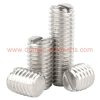 China Manufacturer Din 551 M1-m12 Stainless Steel Grub Screws Flat Point Headless Slotted Set Screws