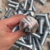 Wholesale Price Din 603 Grade 8.8 Zinc Plated Metric Cup Round Head Square Neck Carriage Bolt