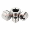 China Manufacturer Din 906 Stainless Steel 304 Internal Drive Hex Socket Pipe Fitting Plugs