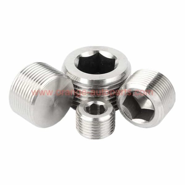 China Manufacturer Din 906 Stainless Steel 304 Internal Drive Hex Socket Pipe Fitting Plugs