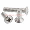 China Supplier Din 966 Stainless Steel 304 Cross Recessed Countersunk Oval Head Phillips Screws