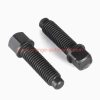 China Supplier Din479 Steel Black Oxide Short Dog Point Square Head Bolts