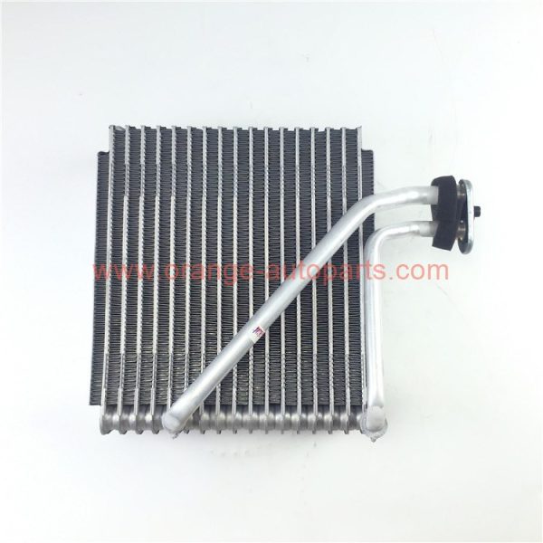 China Manufacturer Evaporator Core Assembly Great Wall Suv Tank300/500