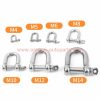 Wholesale Price Heavy Duty Straight D-type Anchor Shackle Dee Ring Shackles 5/16'' 3/8'' 1/2''