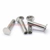 Factory Price M1.6 – M10 Din 6792 Stainless Steel 304 Countersunk Flat Head Semitubular Rivets