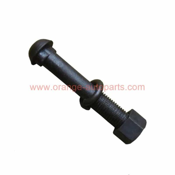 Wholesale Price M10 M12 M16 M20 Din 5903 Grade 8.8 Black Round Head Oval Neck Fish Bolt And Nuts