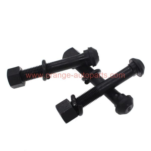 Wholesale Price M10 M12 M16 M20 Din 5903 Grade 8.8 Black Round Head Oval Neck Fish Bolt And Nuts